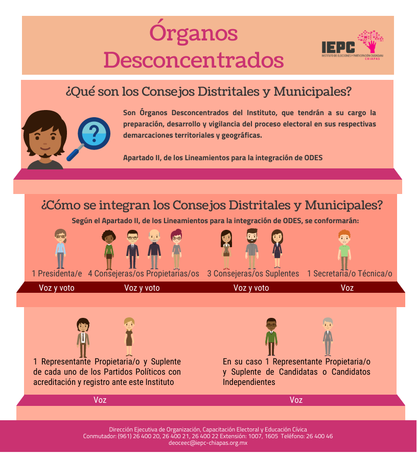 Integración de Órganos Desconcentrados, Proceso Electoral Local